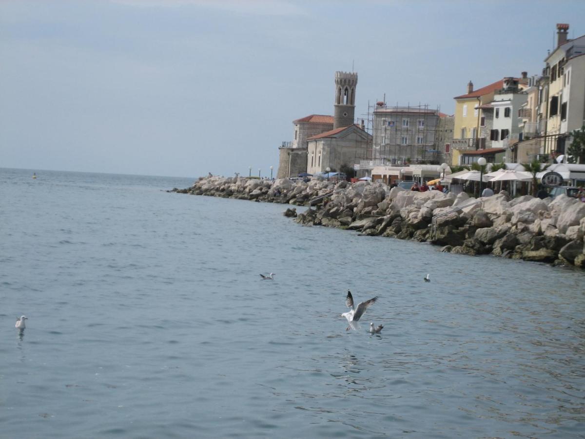 Hisa Delfinov - Old Dolphin House Apartment